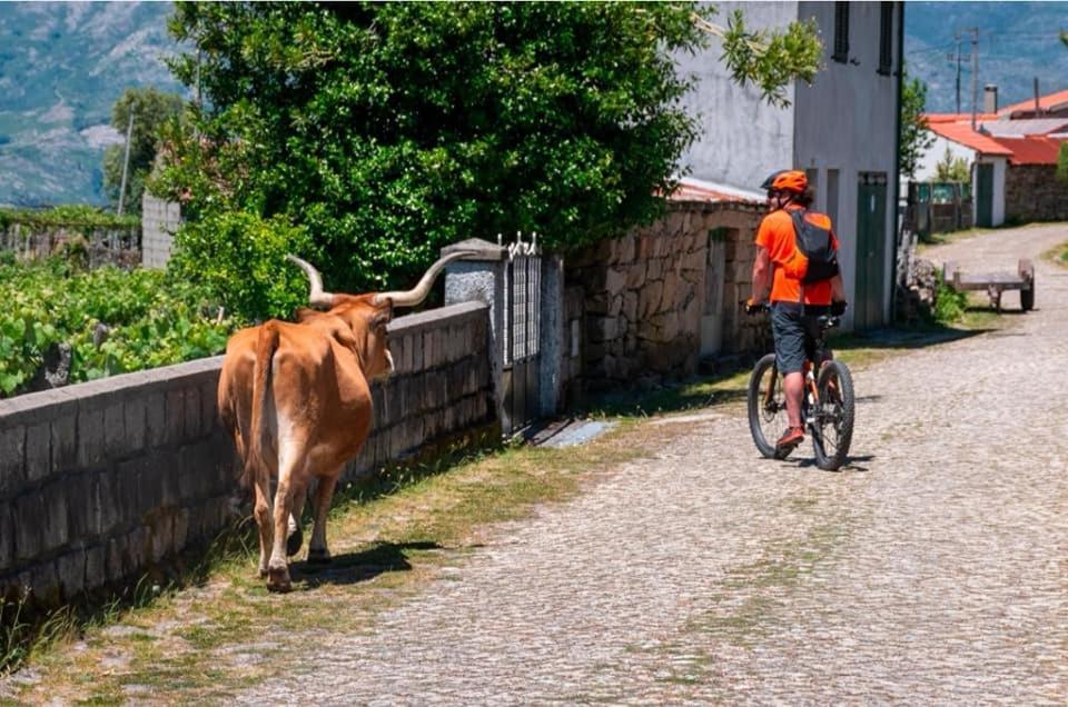 Olhares Do Lobo Βίλα Ponte da Barca Εξωτερικό φωτογραφία